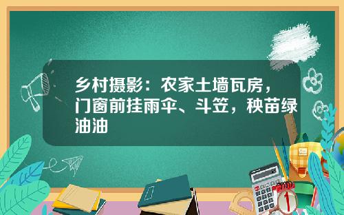 乡村摄影：农家土墙瓦房，门窗前挂雨伞、斗笠，秧苗绿油油