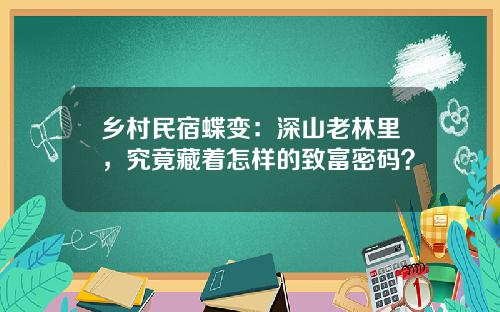 乡村民宿蝶变：深山老林里，究竟藏着怎样的致富密码？