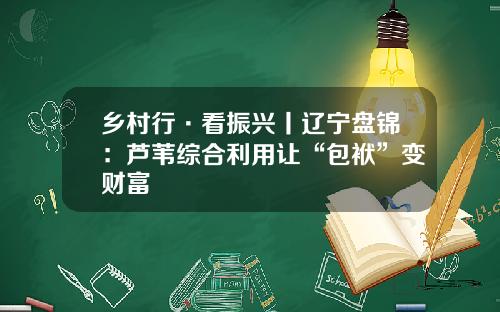 乡村行·看振兴丨辽宁盘锦：芦苇综合利用让“包袱”变财富