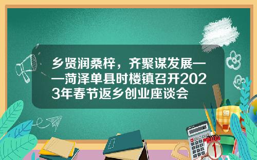 乡贤润桑梓，齐聚谋发展——菏泽单县时楼镇召开2023年春节返乡创业座谈会