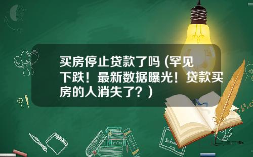 买房停止贷款了吗 (罕见下跌！最新数据曝光！贷款买房的人消失了？)