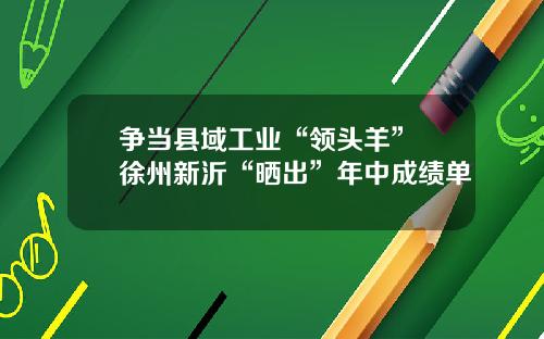 争当县域工业“领头羊” 徐州新沂“晒出”年中成绩单