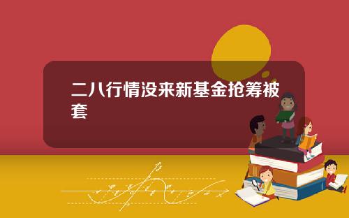 二八行情没来新基金抢筹被套