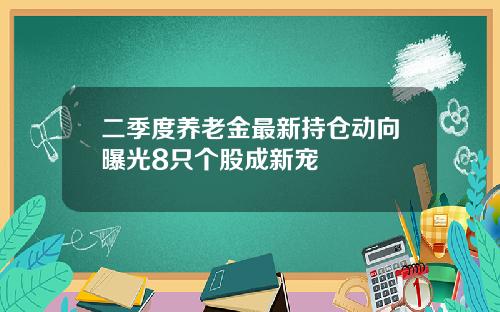 二季度养老金最新持仓动向曝光8只个股成新宠