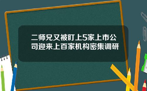 二师兄又被盯上5家上市公司迎来上百家机构密集调研
