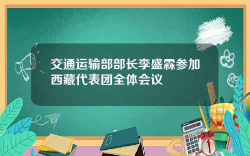 交通运输部部长李盛霖参加西藏代表团全体会议