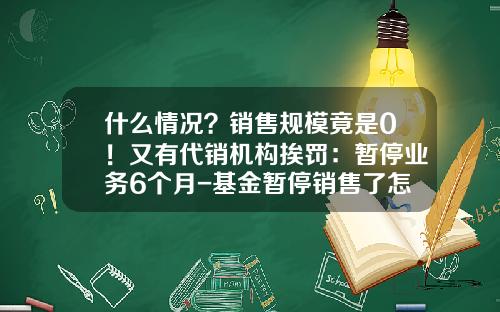 什么情况？销售规模竟是0！又有代销机构挨罚：暂停业务6个月-基金暂停销售了怎么办