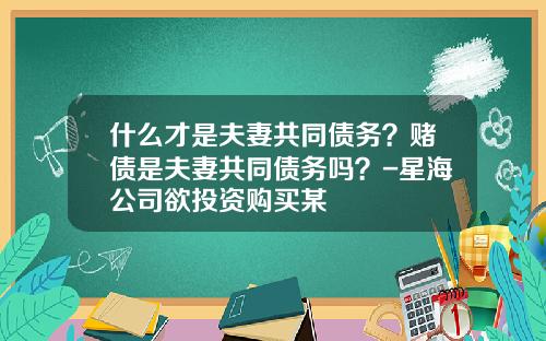 什么才是夫妻共同债务？赌债是夫妻共同债务吗？-星海公司欲投资购买某