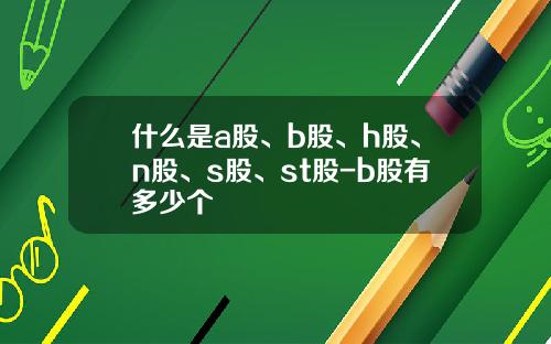 什么是a股、b股、h股、n股、s股、st股-b股有多少个