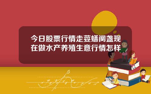 今日股票行情走荽蟮阒盏现在做水产养殖生意行情怎样