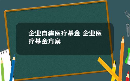 企业自建医疗基金 企业医疗基金方案