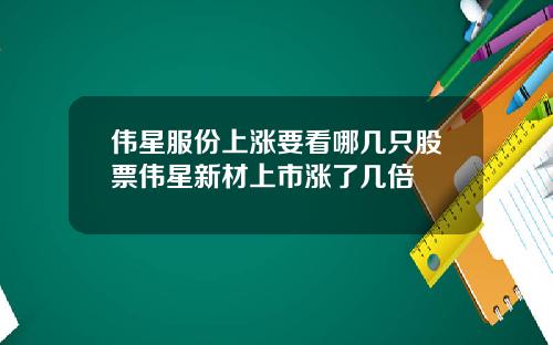 伟星服份上涨要看哪几只股票伟星新材上市涨了几倍