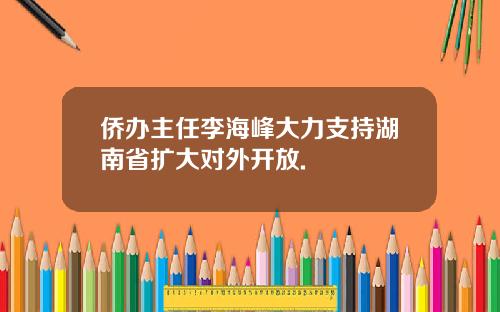 侨办主任李海峰大力支持湖南省扩大对外开放.