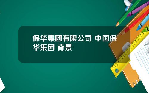 保华集团有限公司 中国保华集团 背景