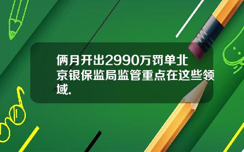 俩月开出2990万罚单北京银保监局监管重点在这些领域.