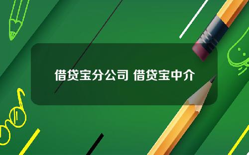 借贷宝分公司 借贷宝中介