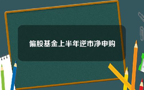 偏股基金上半年逆市净申购