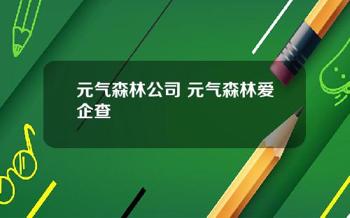 元气森林公司 元气森林爱企查