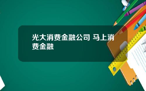 光大消费金融公司 马上消费金融
