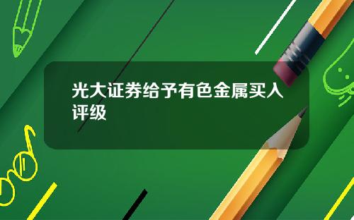 光大证券给予有色金属买入评级