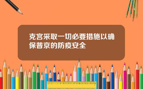 克宫采取一切必要措施以确保普京的防疫安全