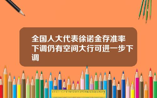 全国人大代表徐诺金存准率下调仍有空间大行可进一步下调