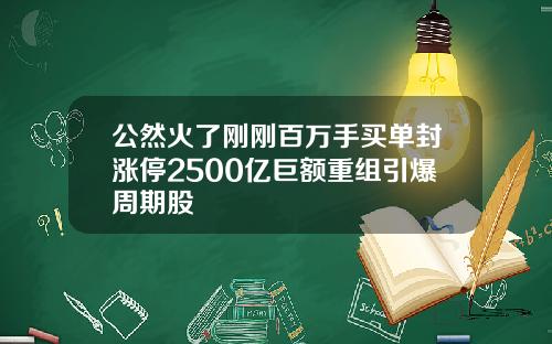 公然火了刚刚百万手买单封涨停2500亿巨额重组引爆周期股