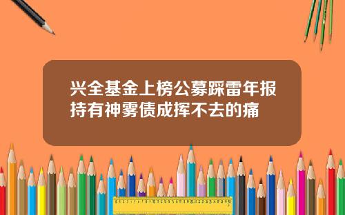 兴全基金上榜公募踩雷年报持有神雾债成挥不去的痛