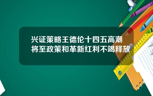 兴证策略王德伦十四五高潮将至政策和革新红利不竭释放
