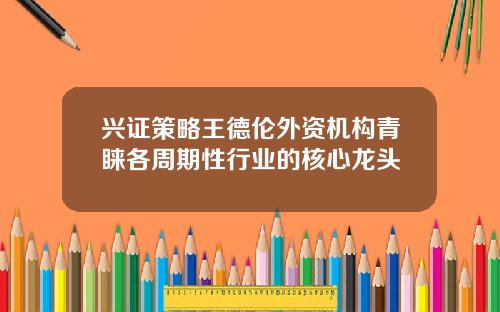 兴证策略王德伦外资机构青睐各周期性行业的核心龙头