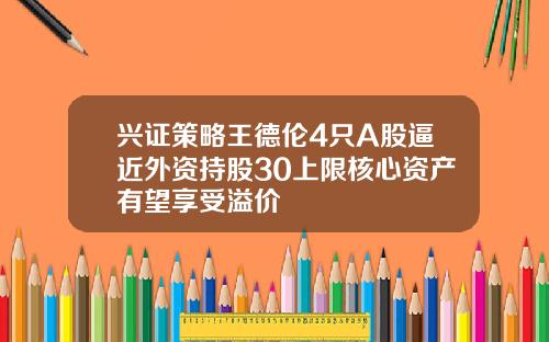 兴证策略王德伦4只A股逼近外资持股30上限核心资产有望享受溢价