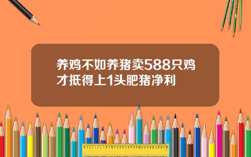 养鸡不如养猪卖588只鸡才抵得上1头肥猪净利