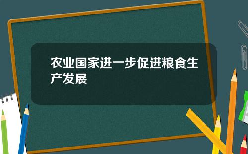 农业国家进一步促进粮食生产发展
