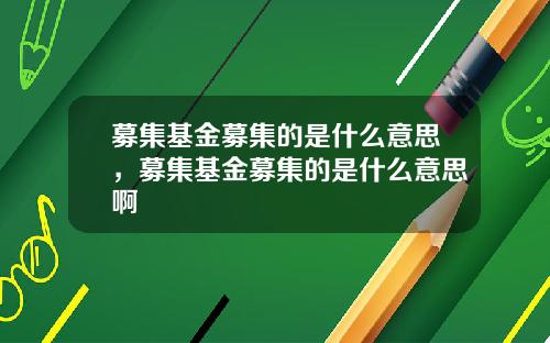 募集基金募集的是什么意思，募集基金募集的是什么意思啊