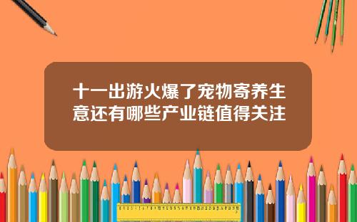 十一出游火爆了宠物寄养生意还有哪些产业链值得关注