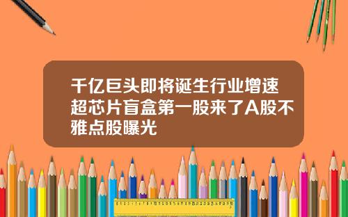 千亿巨头即将诞生行业增速超芯片盲盒第一股来了A股不雅点股曝光