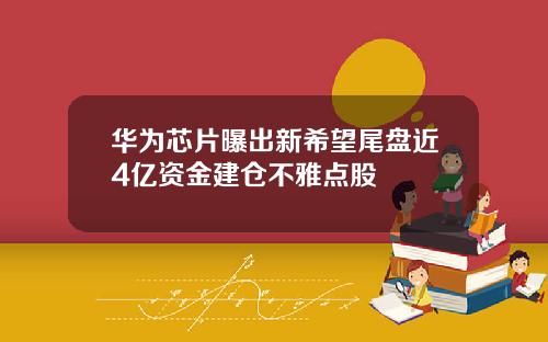 华为芯片曝出新希望尾盘近4亿资金建仓不雅点股