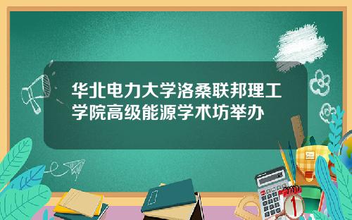 华北电力大学洛桑联邦理工学院高级能源学术坊举办