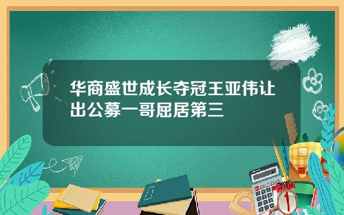 华商盛世成长夺冠王亚伟让出公募一哥屈居第三