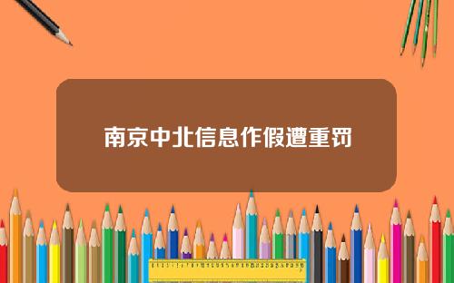 南京中北信息作假遭重罚