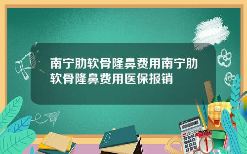 南宁肋软骨隆鼻费用南宁肋软骨隆鼻费用医保报销