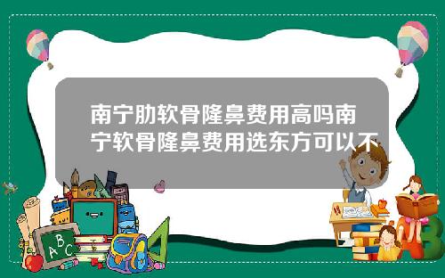 南宁肋软骨隆鼻费用高吗南宁软骨隆鼻费用选东方可以不