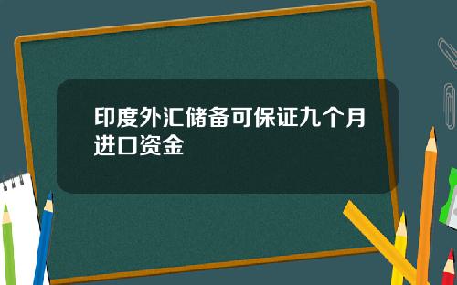 印度外汇储备可保证九个月进口资金