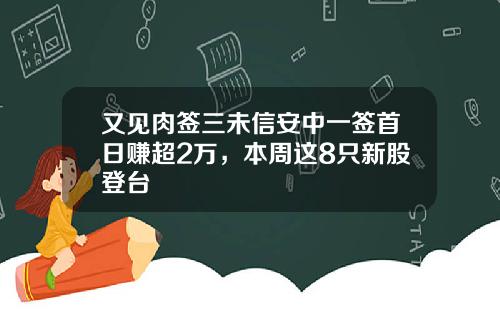 又见肉签三未信安中一签首日赚超2万，本周这8只新股登台