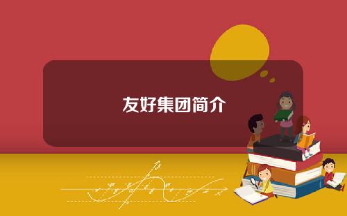 友好集团简介