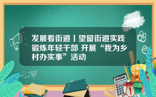 发展看街道丨望留街道实践锻炼年轻干部 开展“我为乡村办实事”活动