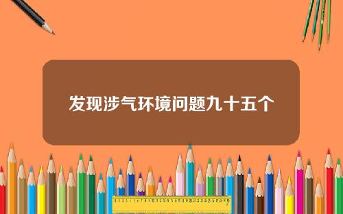 发现涉气环境问题九十五个