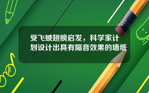 受飞蛾翅膀启发，科学家计划设计出具有隔音效果的墙纸