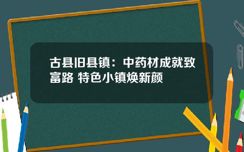 古县旧县镇:中药材成就致富路 特色小镇焕新颜