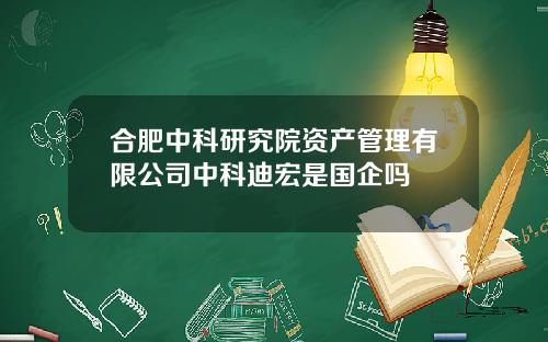 合肥中科研究院资产管理有限公司中科迪宏是国企吗